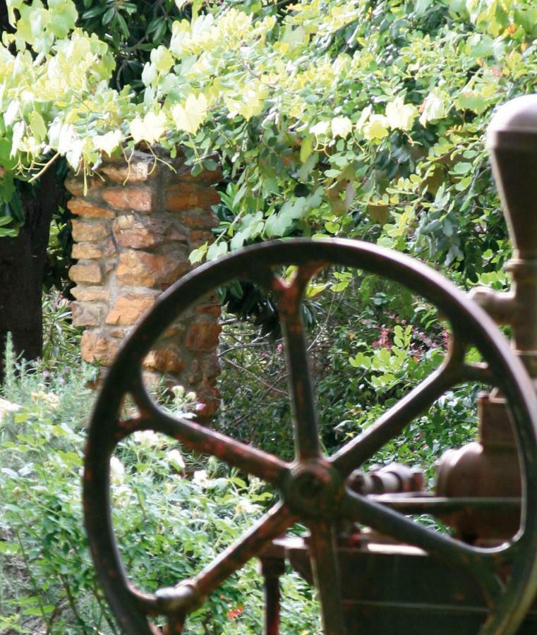 Mooiplaas Wine Estate Lejlighed Stellenbosch Eksteriør billede