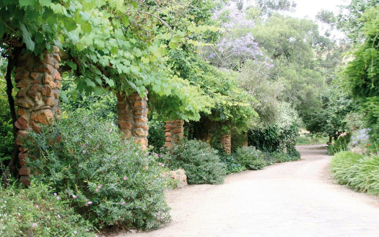 Mooiplaas Wine Estate Lejlighed Stellenbosch Eksteriør billede
