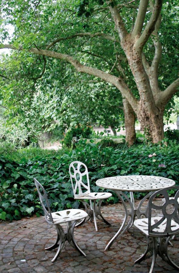 Mooiplaas Wine Estate Lejlighed Stellenbosch Eksteriør billede