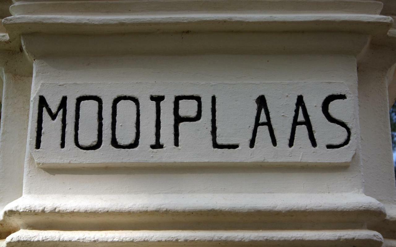 Mooiplaas Wine Estate Lejlighed Stellenbosch Eksteriør billede