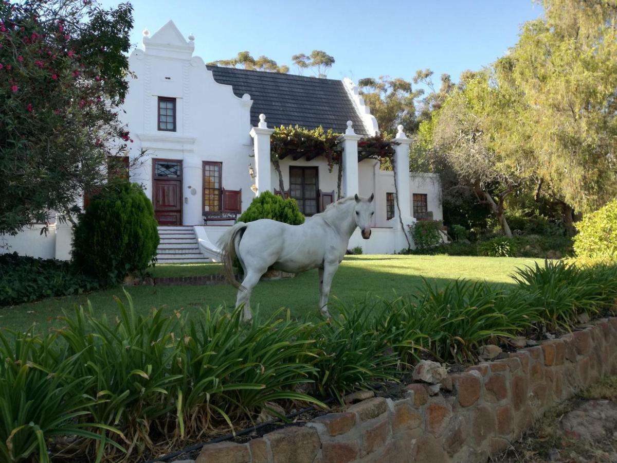 Mooiplaas Wine Estate Lejlighed Stellenbosch Eksteriør billede