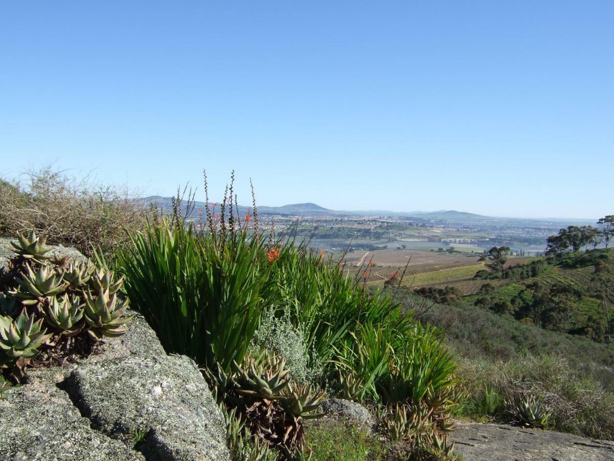 Mooiplaas Wine Estate Lejlighed Stellenbosch Eksteriør billede